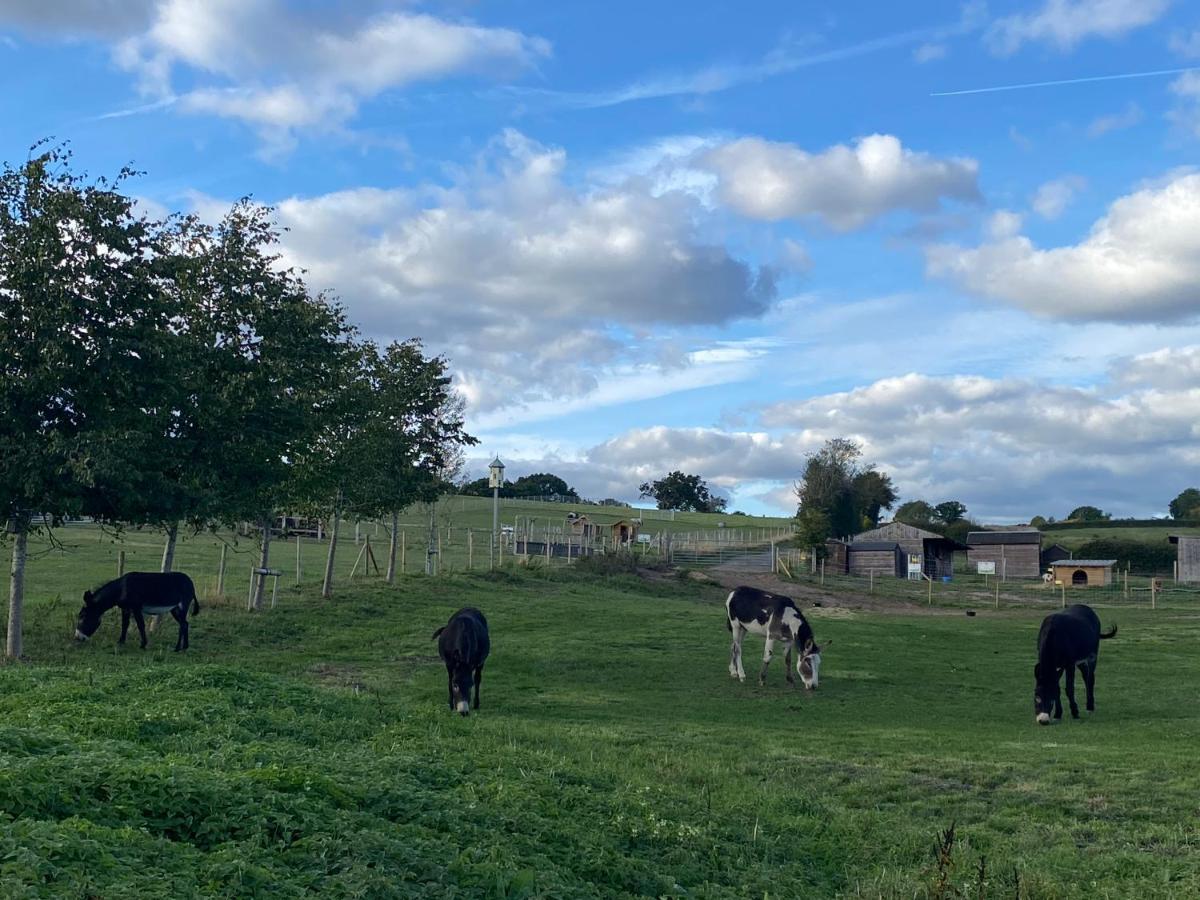 Fairview Farm Holiday Accommodation 14 Luxury Lodges, Cabins, Dog Friendly, Suitable For Couples, Families And Groups, Wedding Guests , Corporate Events, Sleeps 2-65 Guests In Ravenshead, Nottingham Near Sherwood Forest, Set In 88 Acres Exterior foto