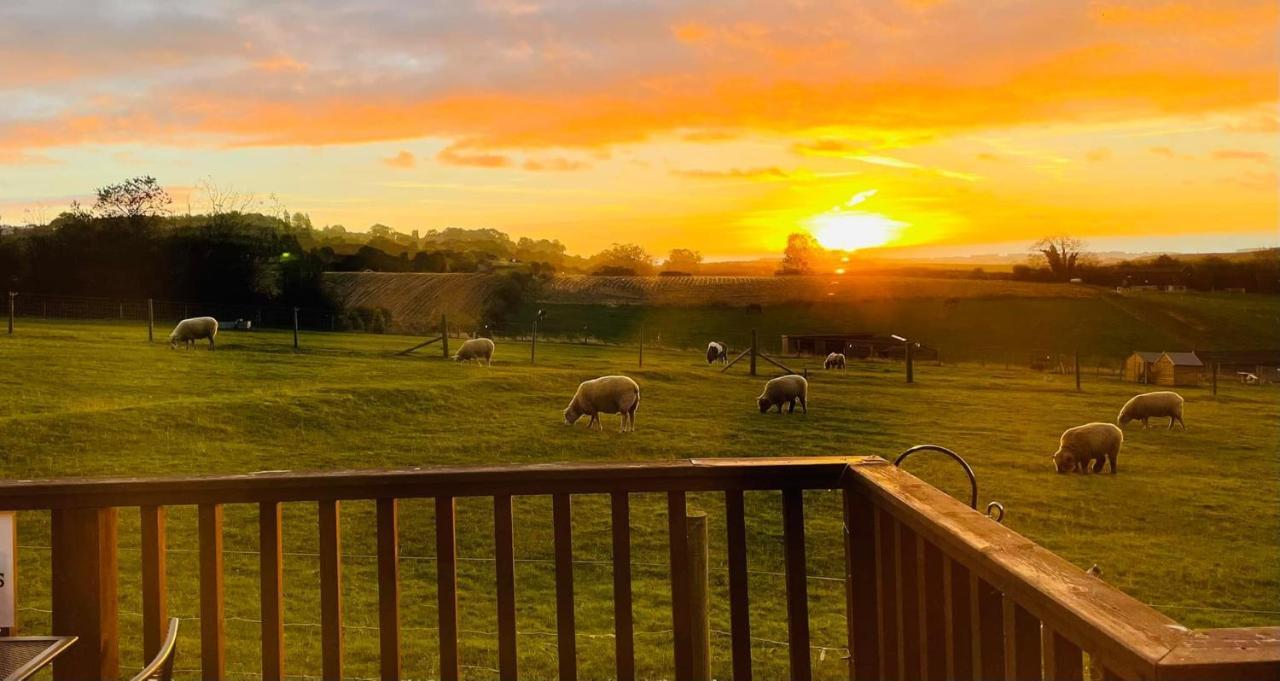 Fairview Farm Holiday Accommodation 14 Luxury Lodges, Cabins, Dog Friendly, Suitable For Couples, Families And Groups, Wedding Guests , Corporate Events, Sleeps 2-65 Guests In Ravenshead, Nottingham Near Sherwood Forest, Set In 88 Acres Exterior foto