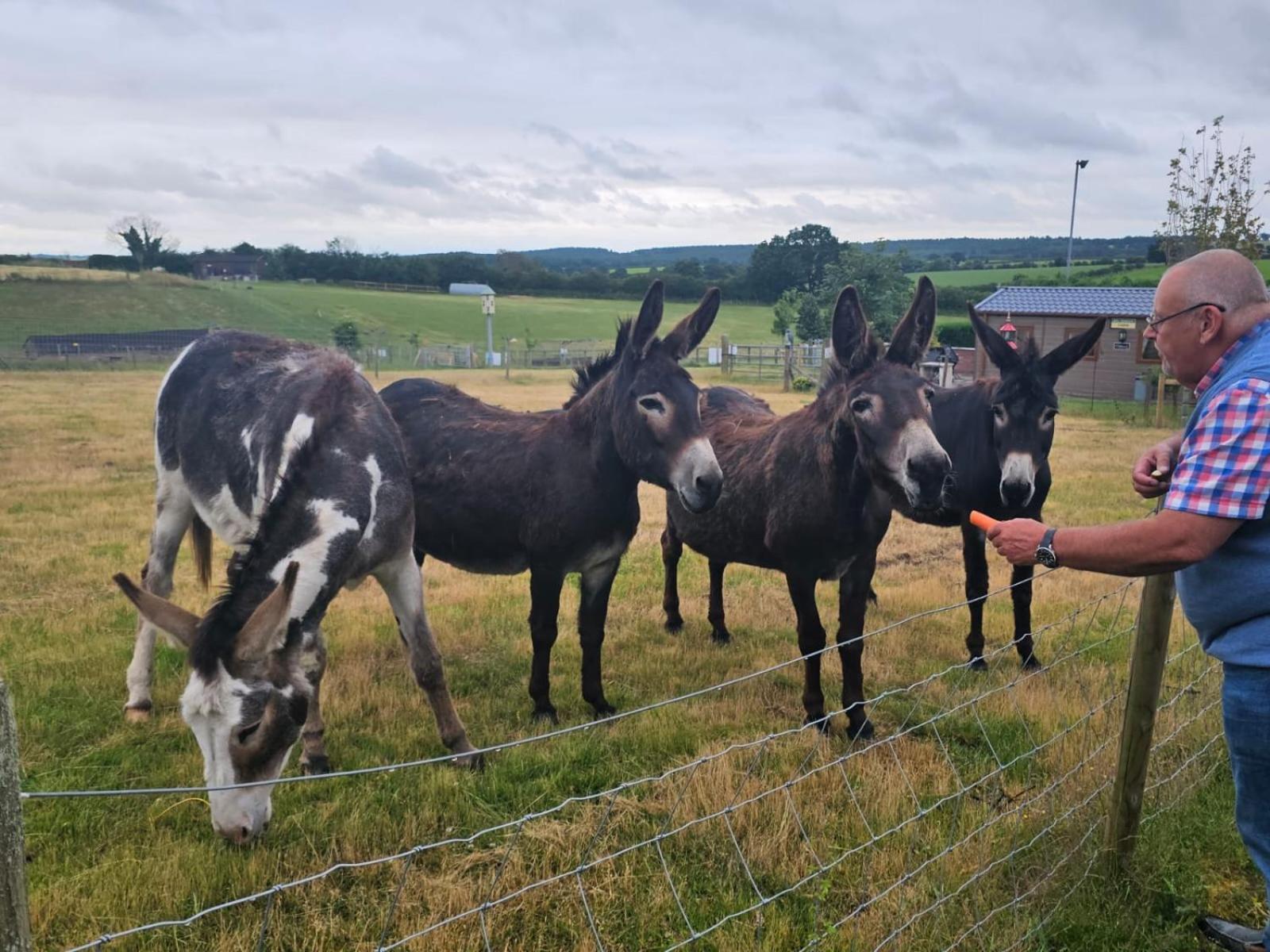 Fairview Farm Holiday Accommodation 14 Luxury Lodges, Cabins, Dog Friendly, Suitable For Couples, Families And Groups, Wedding Guests , Corporate Events, Sleeps 2-65 Guests In Ravenshead, Nottingham Near Sherwood Forest, Set In 88 Acres Exterior foto